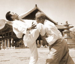 Taekkyon: The Original Martial Art of Korea