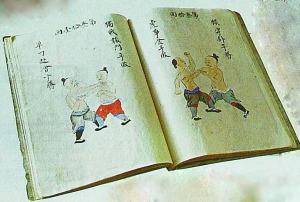 The Bubishi contains anatomical diagrams, philosophical essays, defensive tactical strategies, and poetry.