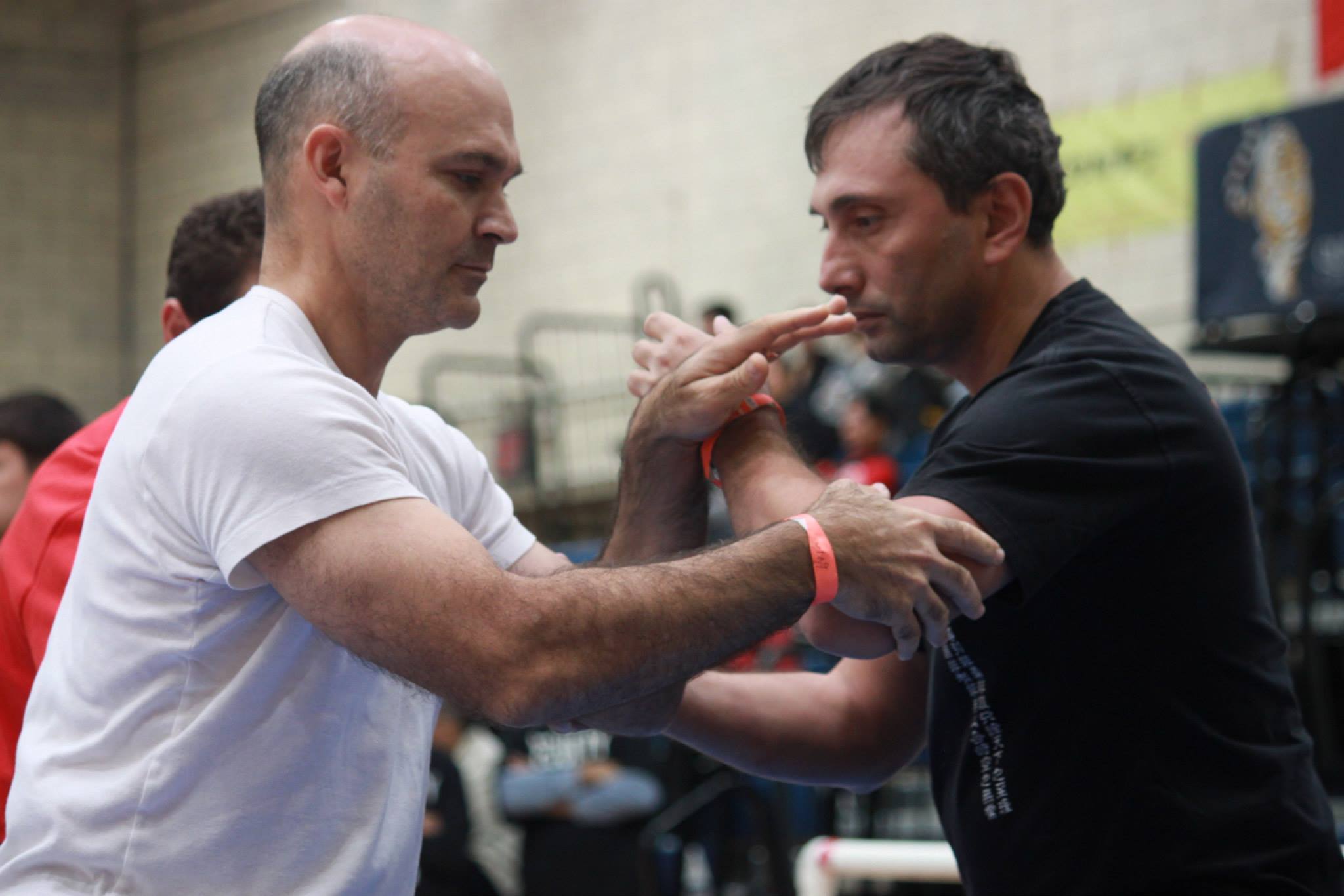 Push Hands competition at US Open Martial Arts Championship organized by the WFMAF