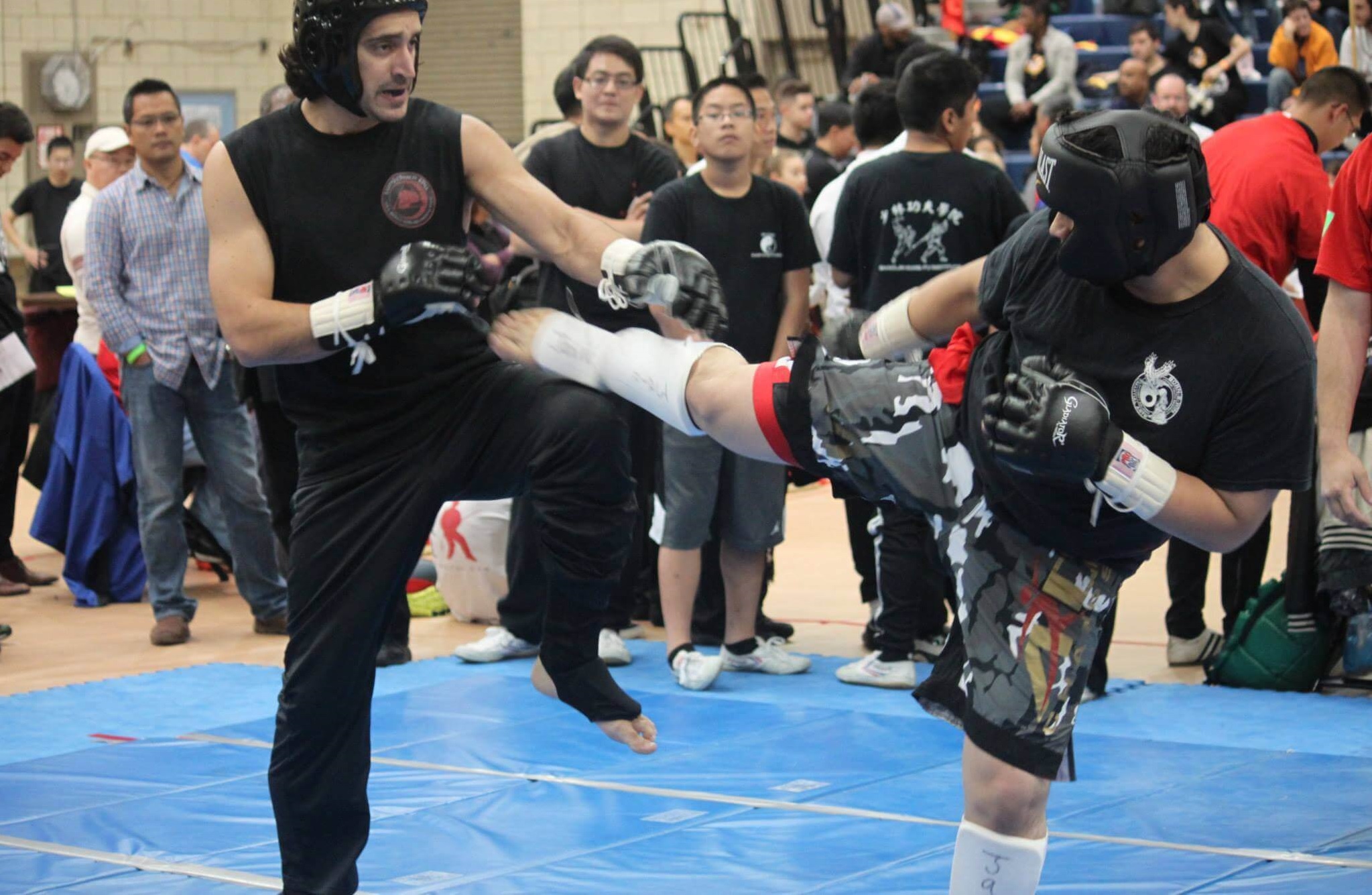 The WFMAF is an international nonprofit organization whose purpose is to enhance the communication, exchange, research, development, and promotion of traditional fighting martial arts systems worldwide.