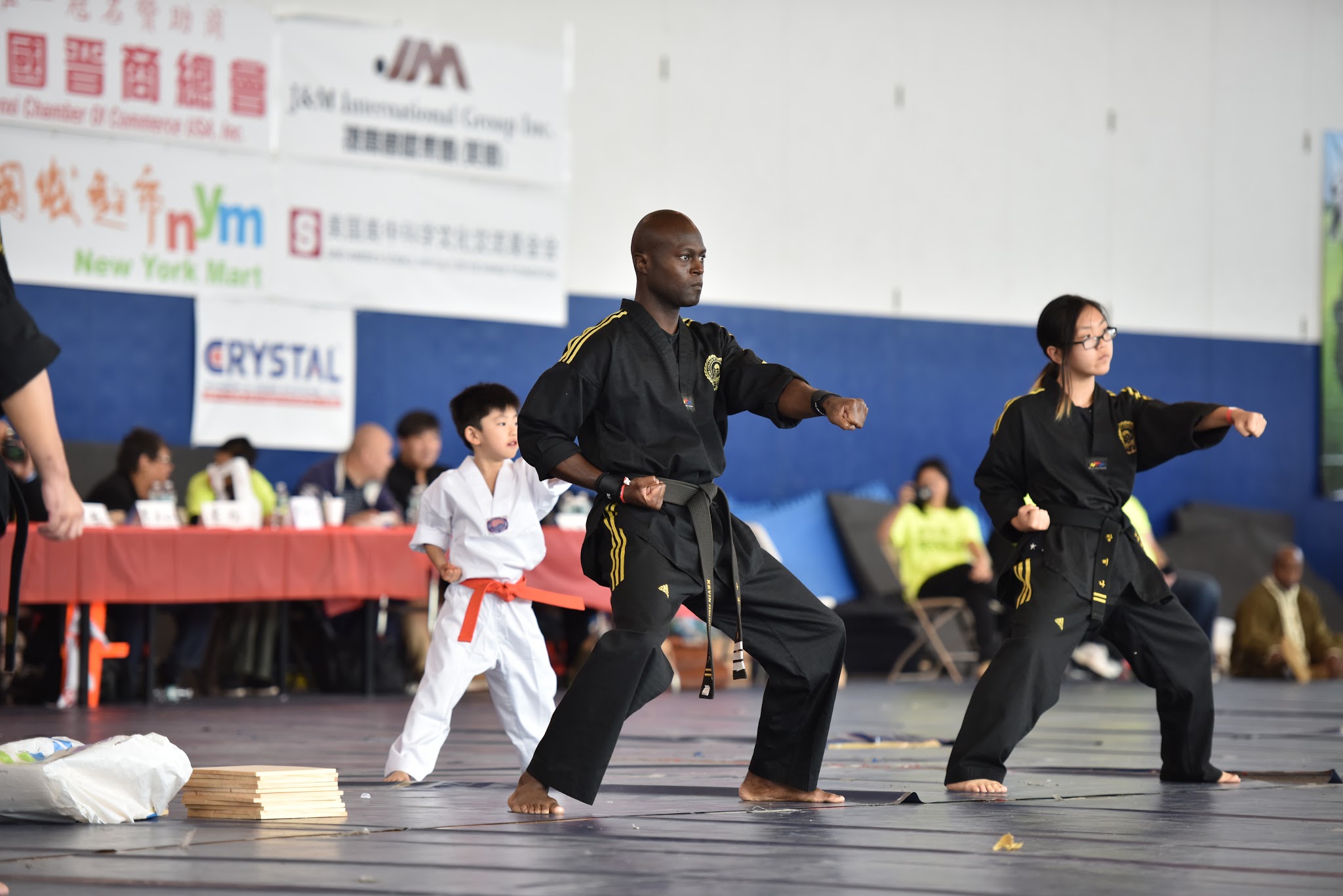 Competition 2015 photos at the US Open Martial Arts Championship organized by the WFMAF.