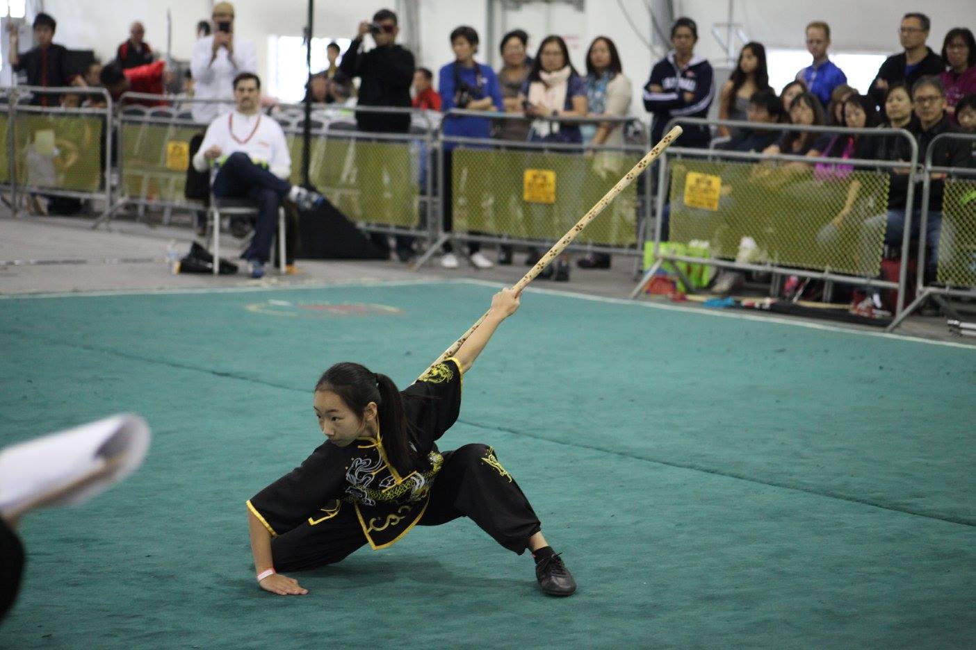 Kung Fu Tournament 2024 California Mamie Kayley