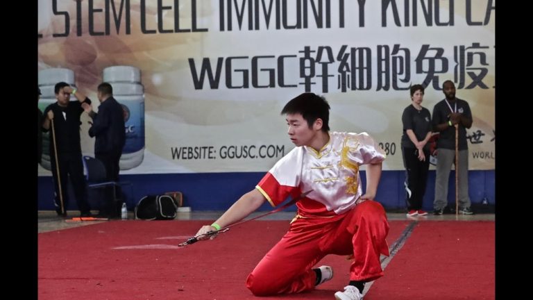 Wushu Competition 2016 at US Open Martial Arts Championship