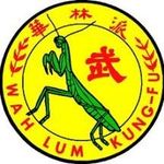 Wah Lum Kungfu and Taichi Academy